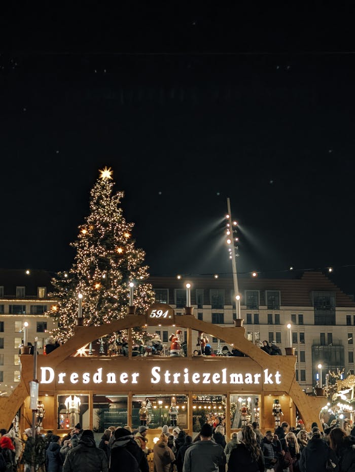 gallery-01 pexels-photo-35001264.jpeg